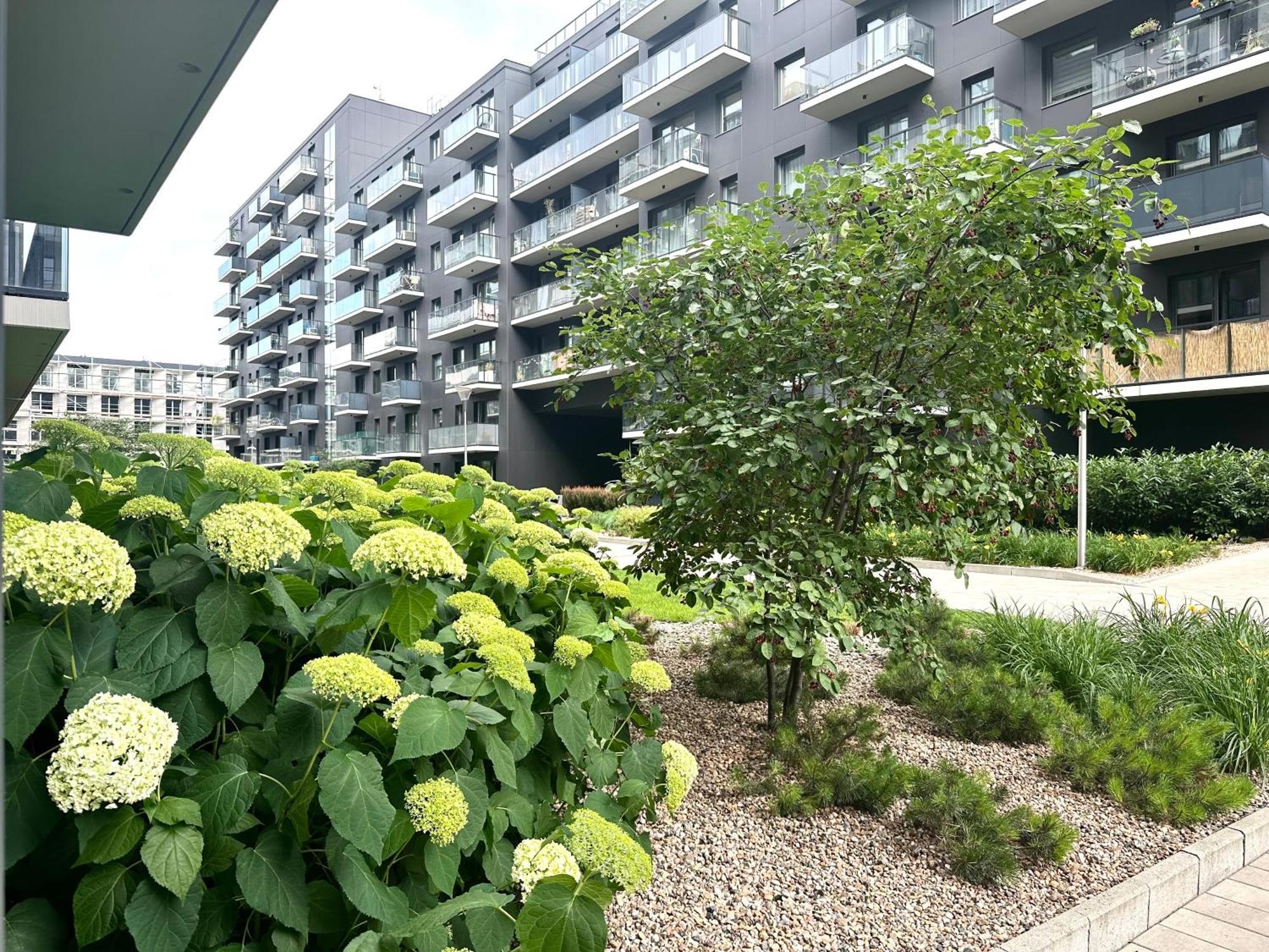 Mieszczanska 25 Apartment - Self Check-In 20H - Parking & Lift ヴロツワフ エクステリア 写真